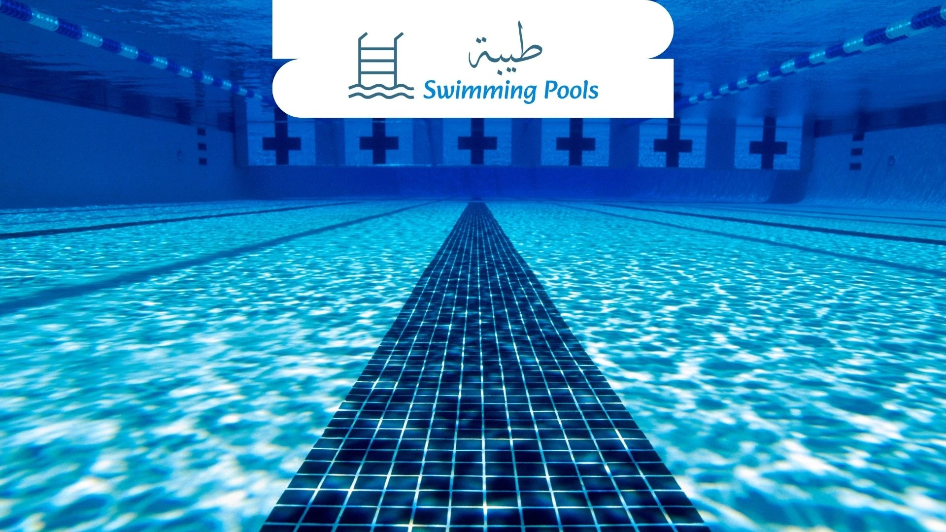 مستلزمات حمامات السباحة في التجمع الأول | أفضل الشركات والأسعار