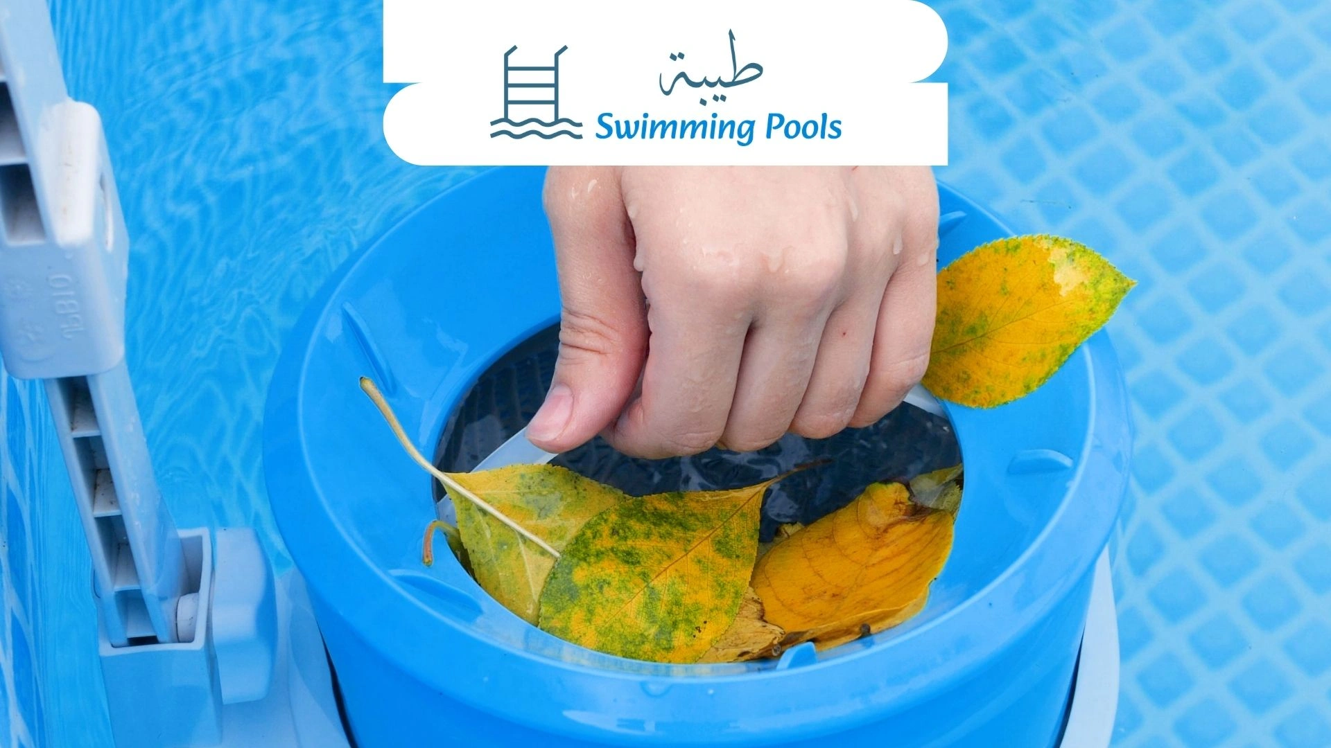نصائح شركة طيبة مع خطوات تنظيف فلتر حمام السباحة خطوة بخطوة